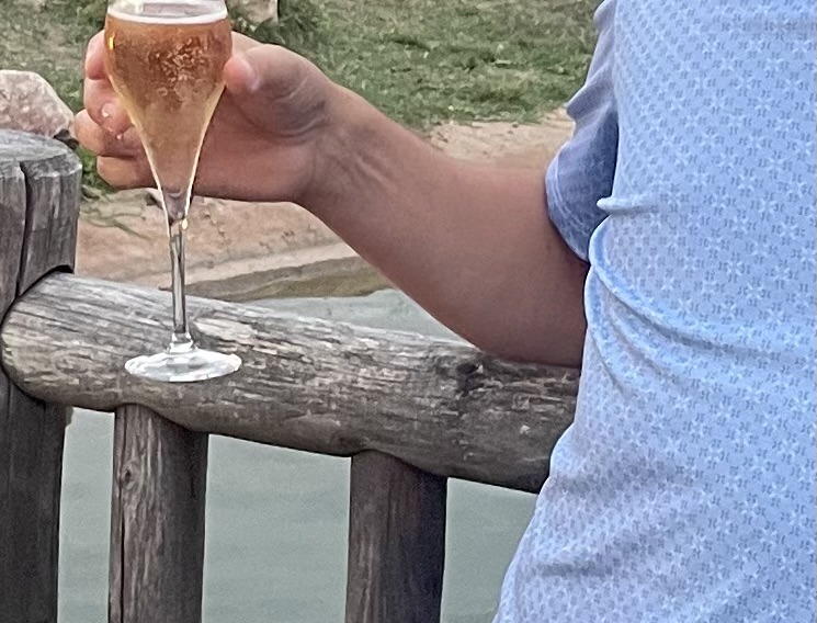 Garice, 45 ans, Ligny-le-Châtel